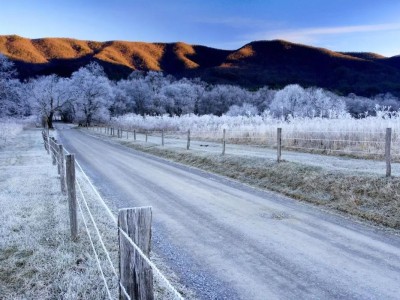 加拿大雇主担保移民的那些事儿