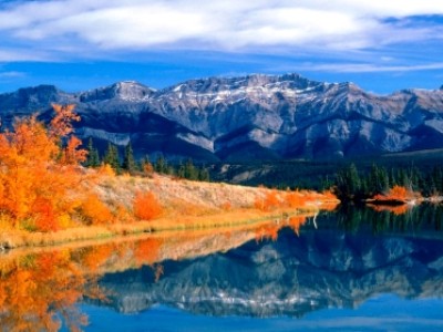 加拿大下半年移民政策如何?