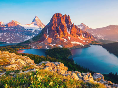 加拿大有希望通过新的移民法案