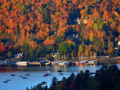 中国移民制作澳式中餐 让澳大利亚美食更多样