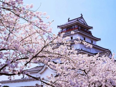 日本持有效在留资格的留学生有希望返日