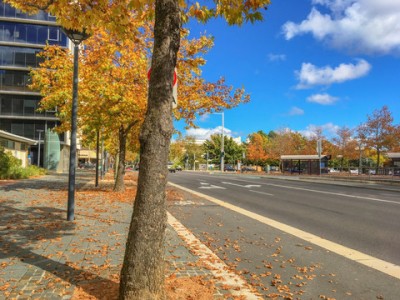 详细分析澳大利亚教育专业。该如何选择及移民和就业呢?